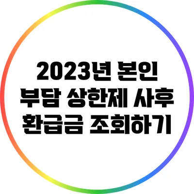 2023년 본인 부담 상한제 사후 환급금 조회하기