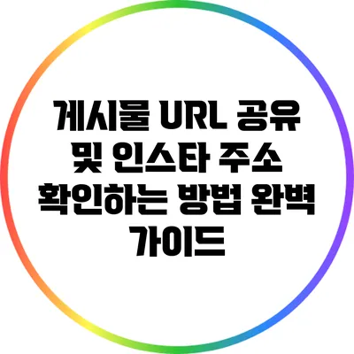 게시물 URL 공유 및 인스타 주소 확인하는 방법 완벽 가이드