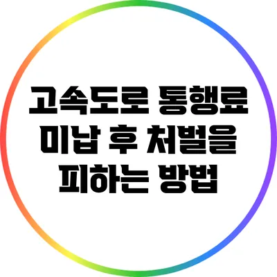 고속도로 통행료 미납 후 처벌을 피하는 방법