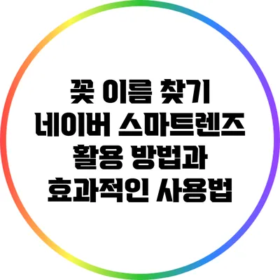 꽃 이름 찾기: 네이버 스마트렌즈 활용 방법과 효과적인 사용법