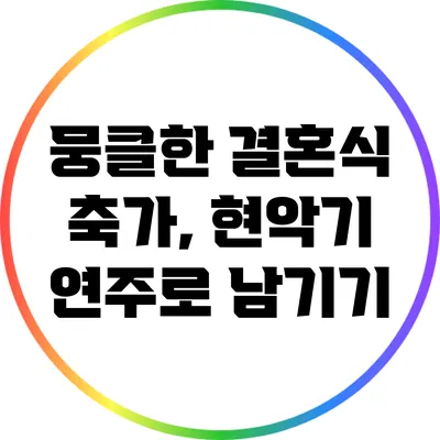 뭉클한 결혼식 축가, 현악기 연주로 남기기