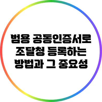 범용 공동인증서로 조달청 등록하는 방법과 그 중요성