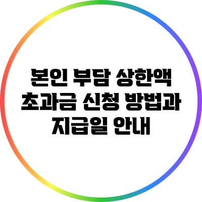 본인 부담 상한액 초과금 신청 방법과 지급일 안내