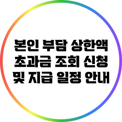 본인 부담 상한액 초과금 조회 신청 및 지급 일정 안내