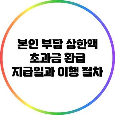 본인 부담 상한액 초과금 환급 지급일과 이행 절차