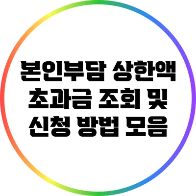 본인부담 상한액 초과금 조회 및 신청 방법 모음