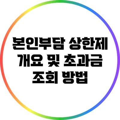 본인부담 상한제 개요 및 초과금 조회 방법