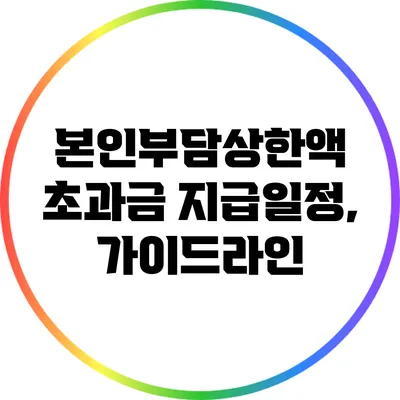 본인부담상한액 초과금 지급일정, 가이드라인