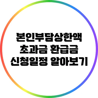본인부담상한액 초과금 환급금 신청일정 알아보기