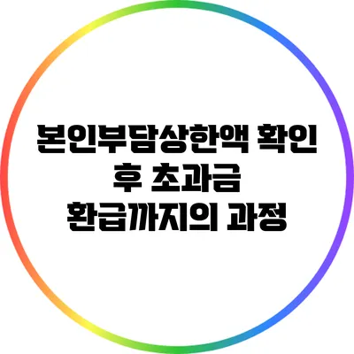 본인부담상한액 확인 후 초과금 환급까지의 과정