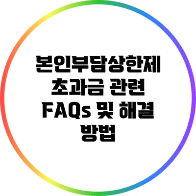 본인부담상한제 초과금 관련 FAQs 및 해결 방법
