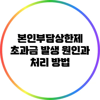 본인부담상한제 초과금: 발생 원인과 처리 방법