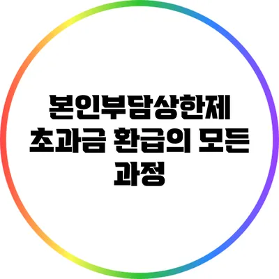 본인부담상한제 초과금 환급의 모든 과정