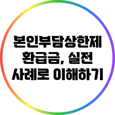 본인부담상한제 환급금, 실전 사례로 이해하기