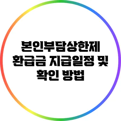 본인부담상한제 환급금 지급일정 및 확인 방법