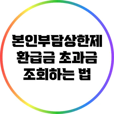본인부담상한제 환급금 초과금 조회하는 법