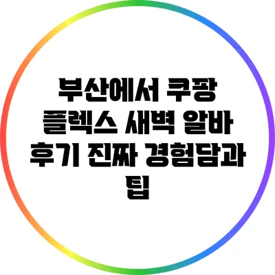 부산에서 쿠팡 플렉스 새벽 알바 후기: 진짜 경험담과 팁