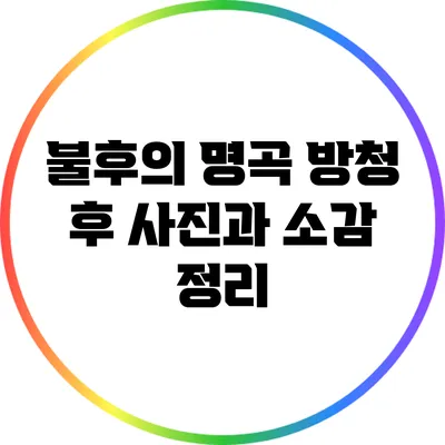 불후의 명곡 방청 후 사진과 소감 정리