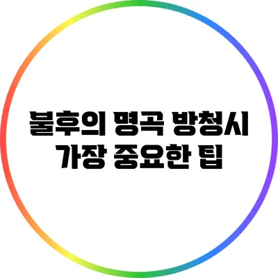 불후의 명곡 방청시 가장 중요한 팁