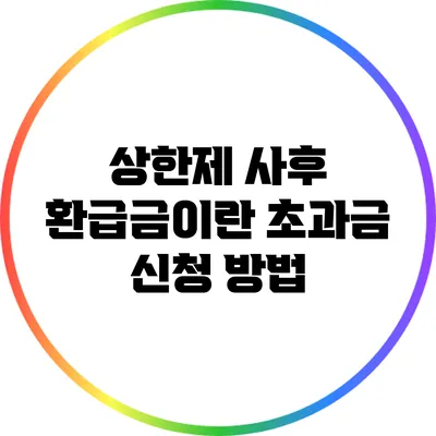 상한제 사후 환급금이란? 초과금 신청 방법