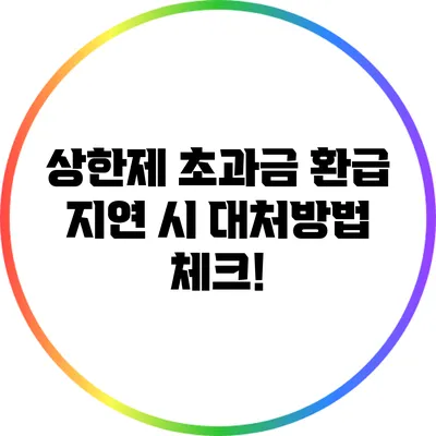 상한제 초과금 환급 지연 시 대처방법 체크!