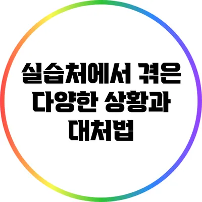 실습처에서 겪은 다양한 상황과 대처법