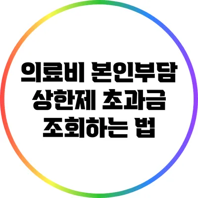 의료비 본인부담 상한제 초과금 조회하는 법