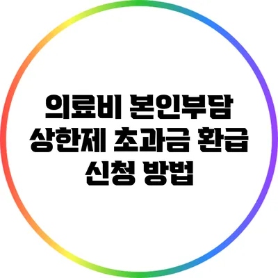 의료비 본인부담 상한제 초과금 환급 신청 방법