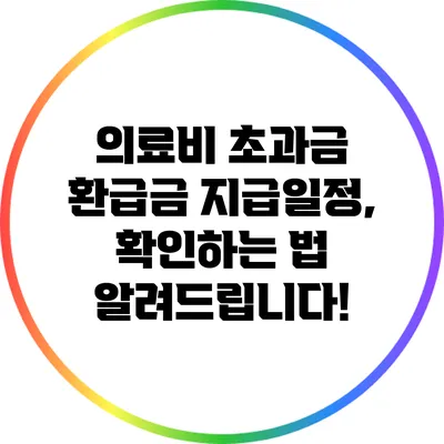 의료비 초과금 환급금 지급일정, 확인하는 법 알려드립니다!