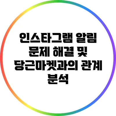 인스타그램 알림 문제 해결 및 당근마켓과의 관계 분석