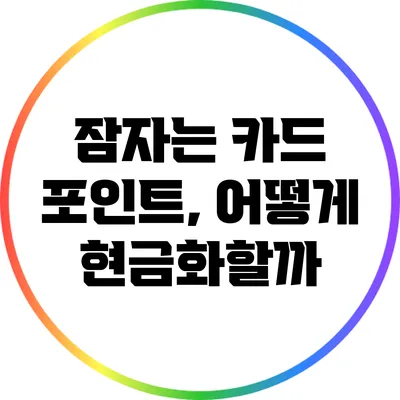 잠자는 카드 포인트, 어떻게 현금화할까?