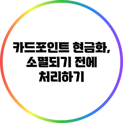 카드포인트 현금화, 소멸되기 전에 처리하기
