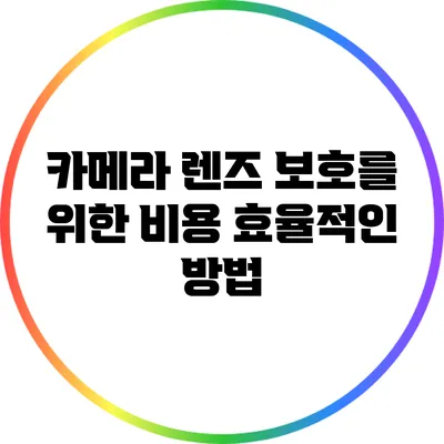 카메라 렌즈 보호를 위한 비용 효율적인 방법