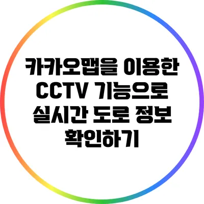 카카오맵을 이용한 CCTV 기능으로 실시간 도로 정보 확인하기