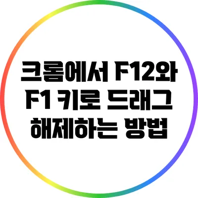 크롬에서 F12와 F1 키로 드래그 해제하는 방법