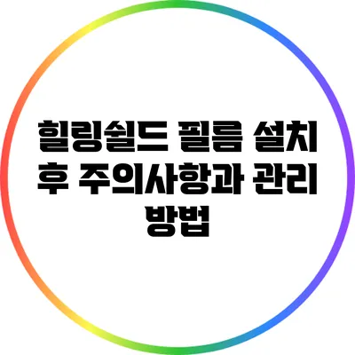 힐링쉴드 필름 설치 후 주의사항과 관리 방법