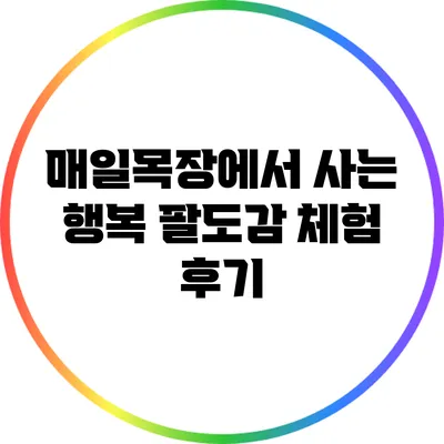매일목장에서 사는 행복 팔도감 체험 후기