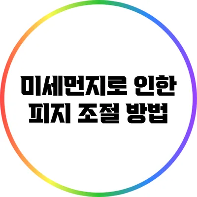 미세먼지로 인한 피지 조절 방법