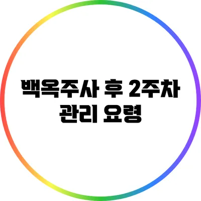 백옥주사 후 2주차 관리 요령