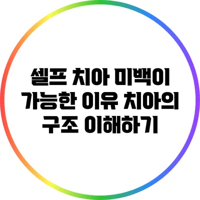 셀프 치아 미백이 가능한 이유: 치아의 구조 이해하기