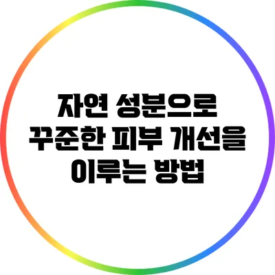 자연 성분으로 꾸준한 피부 개선을 이루는 방법