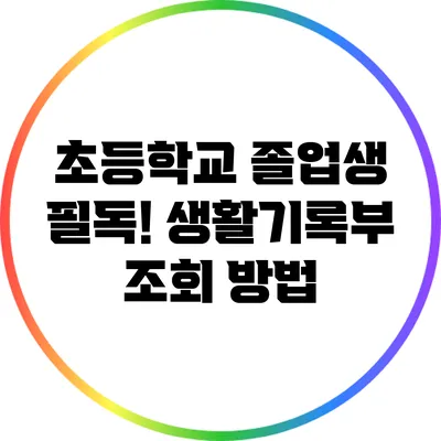 초등학교 졸업생 필독! 생활기록부 조회 방법