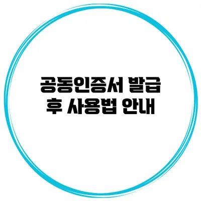 공동인증서 발급 후 사용법 안내