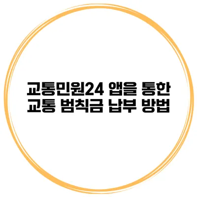 교통민원24 앱을 통한 교통 범칙금 납부 방법