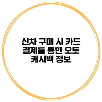 신차 구매 시 카드 결제를 통한 오토 캐시백 정보
