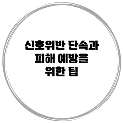 신호위반 단속과 피해 예방을 위한 팁