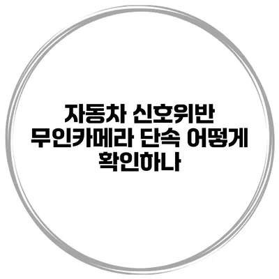 자동차 신호위반 무인카메라 단속 어떻게 확인하나?