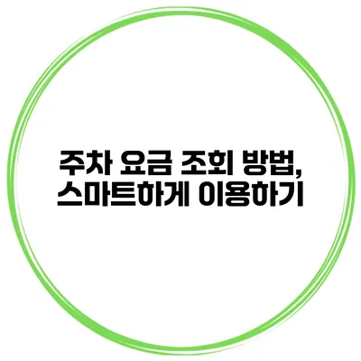 주차 요금 조회 방법, 스마트하게 이용하기