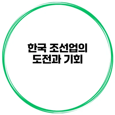 한국 조선업의 도전과 기회
