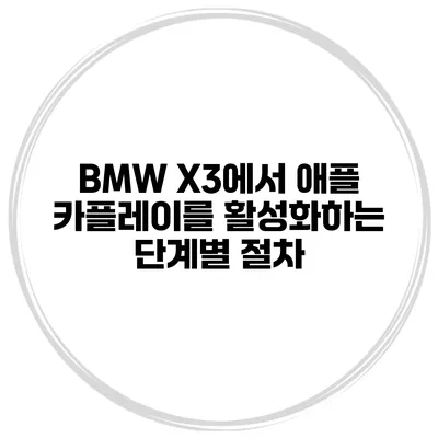 BMW X3에서 애플 카플레이를 활성화하는 단계별 절차